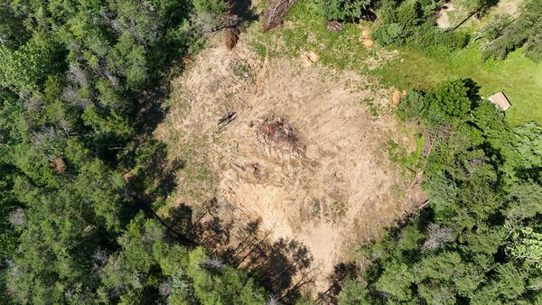Cleared site view toward tree line